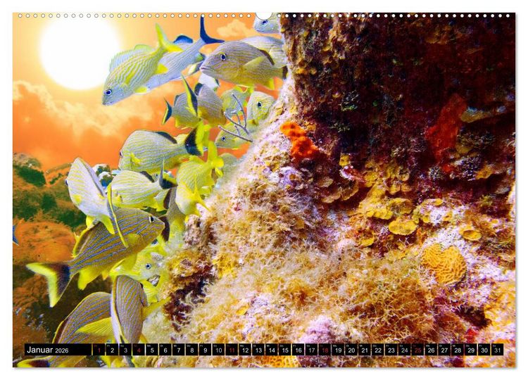 Produktbild: Surreale Unterwasserwelt (hochwertiger Premium Wandkalender 2026 DIN A2 quer), Kunstdruck in Hochglanz