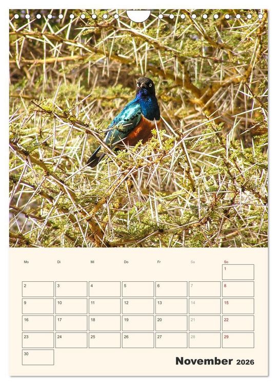 Produktbild: Kenia &ndash; Terminplaner (Wandkalender 2026 DIN A4 hoch), CALVENDO Monatskalender