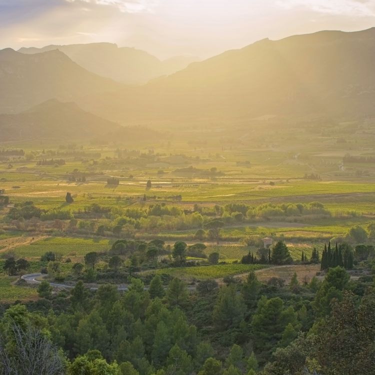 Produktbild: Sunset in Langeudoc