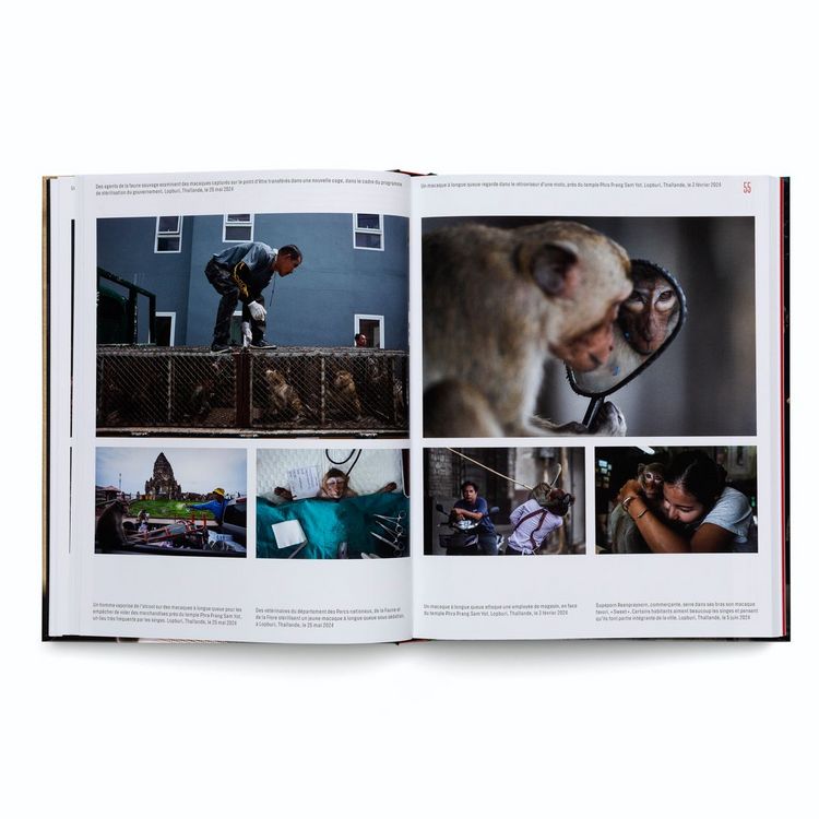 Produktbild: World Press Photo Yearbook 2025