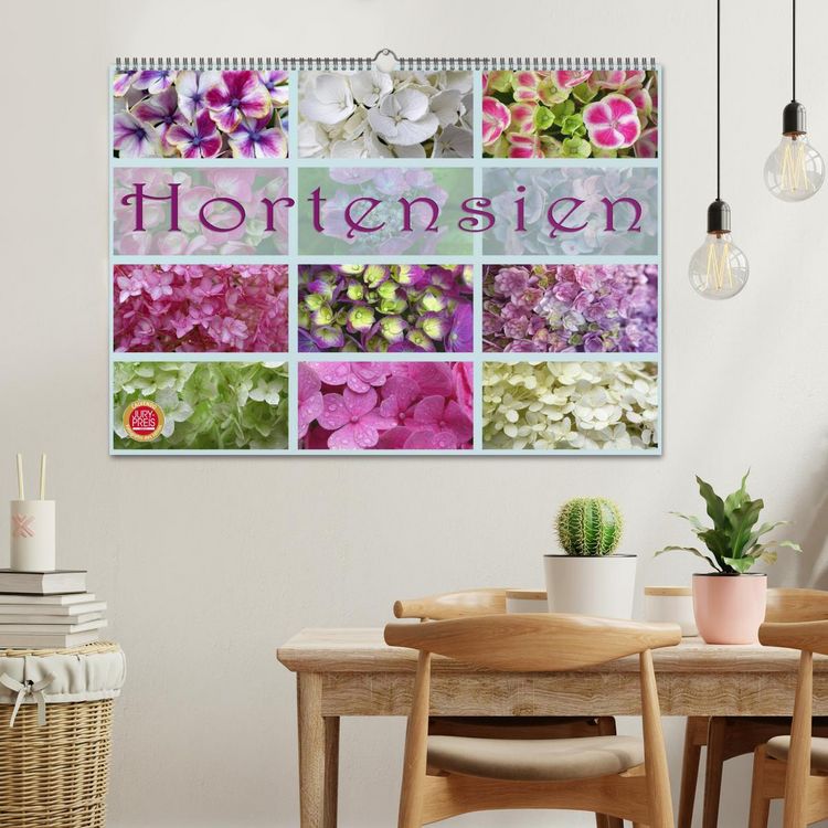 Produktbild: Hortensien / Geburtstagskalender (Wandkalender 2026 DIN A2 quer), CALVENDO Monatskalender