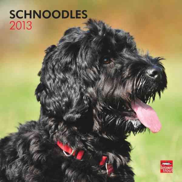Produktbild: Schnoodles 2013 Calendar