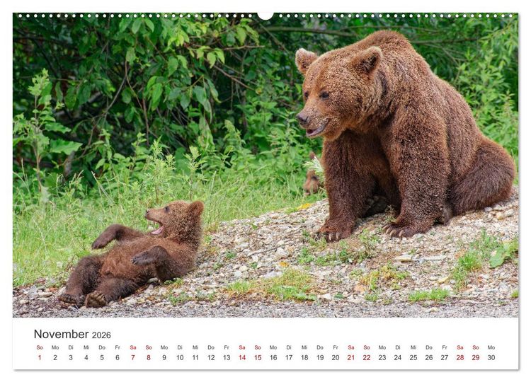 Produktbild: Siebenb&uuml;rgen und das Fagaras Gebirge (Wandkalender 2026 DIN A2 quer), CALVENDO Monatskalender