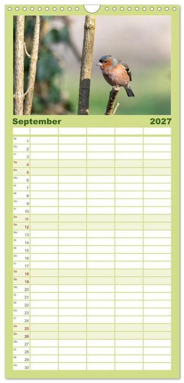 Produktbild: Familienplaner 2027 - Der Kernbei&szlig;er und seine gefiederten Gesellen mit 5 Spalten (Wandkalender, 21 x 45 cm) CALVENDO