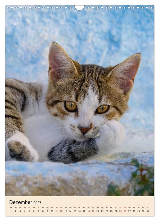 Produktbild: Katzen von Rhodos (Wandkalender 2027 DIN A3 hoch), CALVENDO Monatskalender