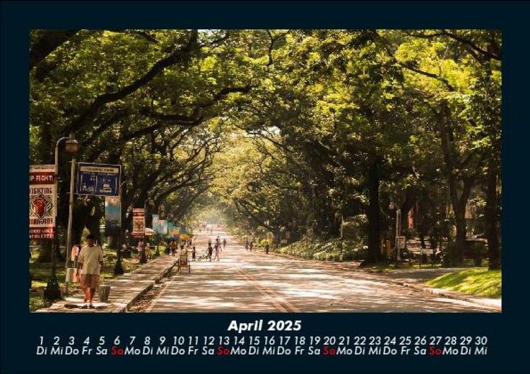 Produktbild: B&auml;ume 2025 Fotokalender DIN A5
