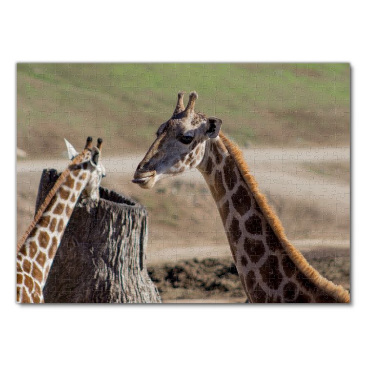 Produktbild: Lais Puzzle Giraffen 500 Teile