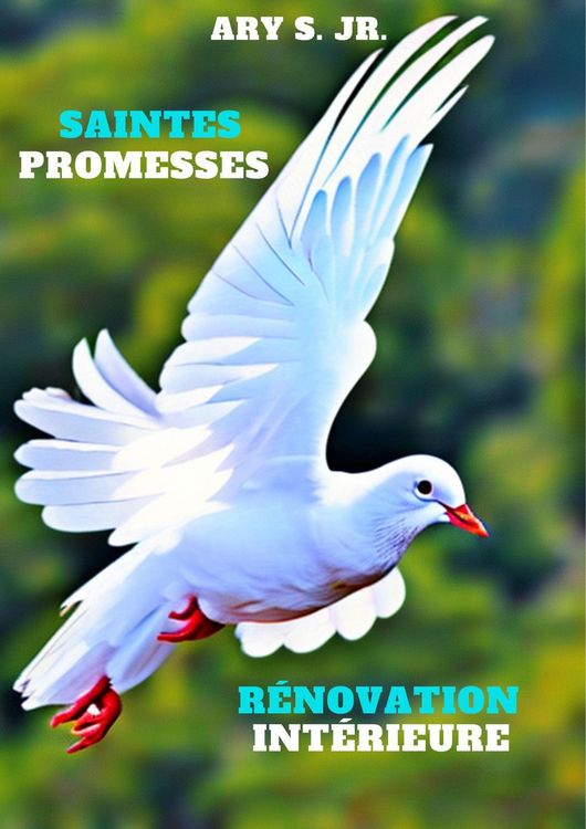 Produktbild: Saintes Promesses: R&eacute;novation Int&eacute;rieure