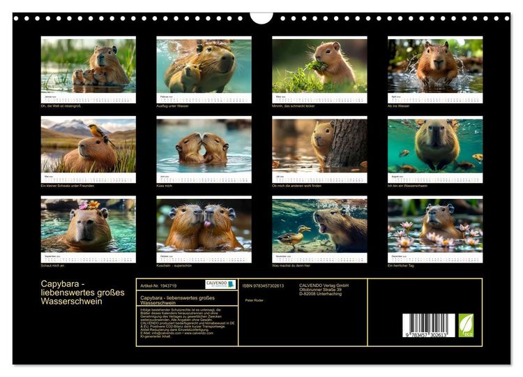 Produktbild: Capybara - liebenswertes gro&szlig;es Wasserschwein (Wandkalender 2026 DIN A3 quer), CALVENDO Monatskalender