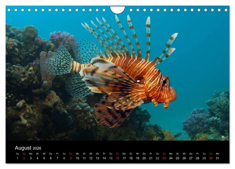 Produktbild: Unterwasser (Wandkalender 2026 DIN A4 quer), CALVENDO Monatskalender