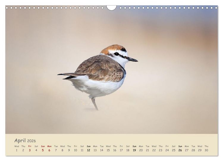 Produktbild: Wild encounters &ndash; Moments in the heart of nature (Wall Calendar 2026 DIN A3 landscape), CALVENDO 12 Month Wall Calendar