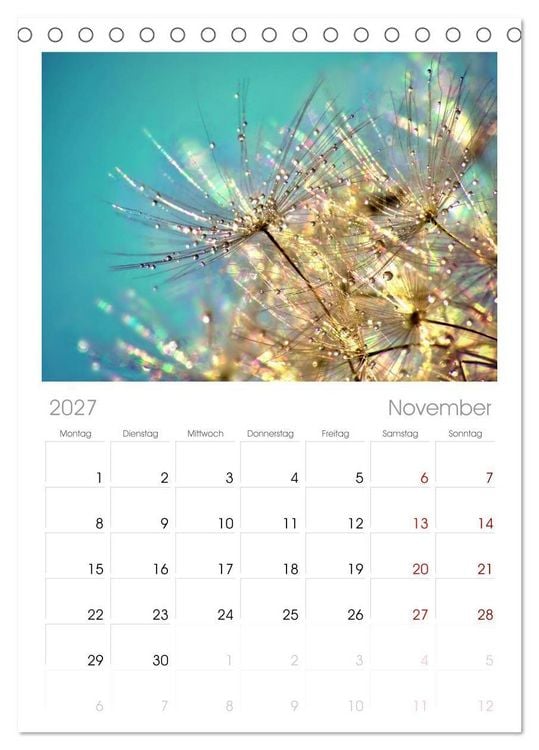Produktbild: Tischplaner 2027 - Naturjuwel Pusteblume (A5 Tischkalender zum Aufstellen) CALVENDO