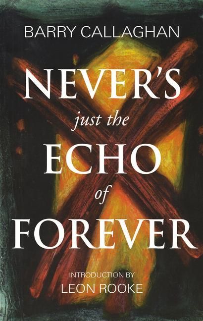 Produktbild: Never's Just the Echo of Forever
