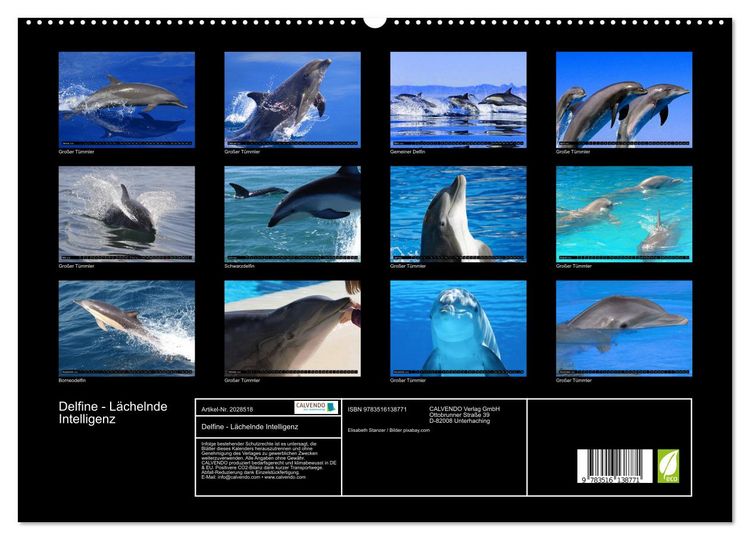 Produktbild: Delfine - L&auml;chelnde Intelligenz (hochwertiger Premium Wandkalender 2026 DIN A2 quer), Kunstdruck in Hochglanz