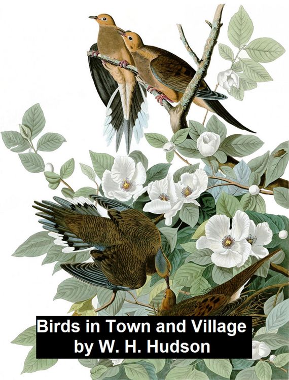 Produktbild: Birds in Town and Village