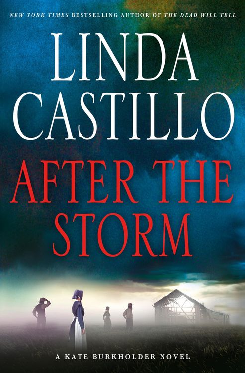 Produktbild: After The Storm