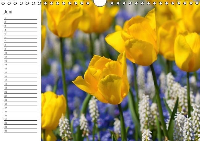 Produktbild: Ich denk an Dich ... Pers&ouml;nlicher Terminkalender (Wandkalender immerw&auml;hrend DIN A4 quer)