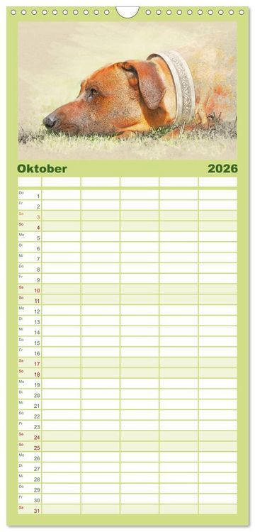 Produktbild: Familienplaner 2026 - Rhodesian Ridgeback 2026 mit 5 Spalten (Wandkalender, 21 x 45 cm) CALVENDO