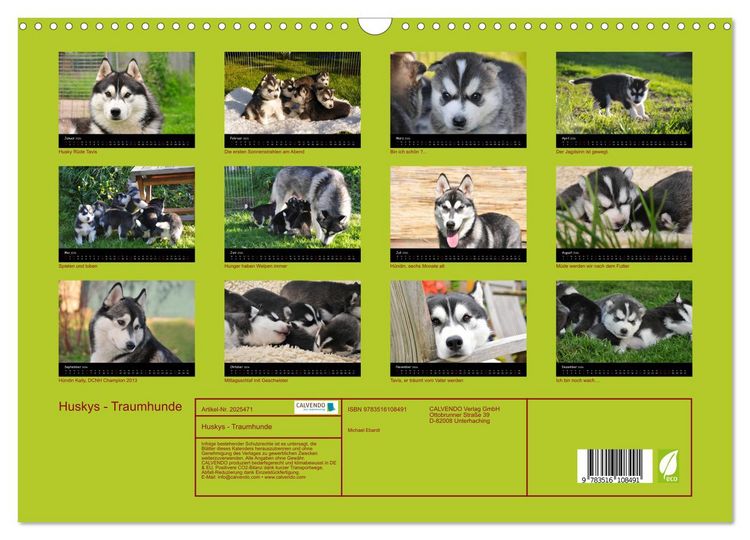Produktbild: Huskys - Traumhunde (Wandkalender 2026 DIN A3 quer), CALVENDO Monatskalender