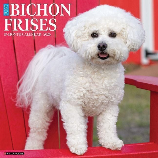 Produktbild: Bichon Frises 2026 Wall Calendar