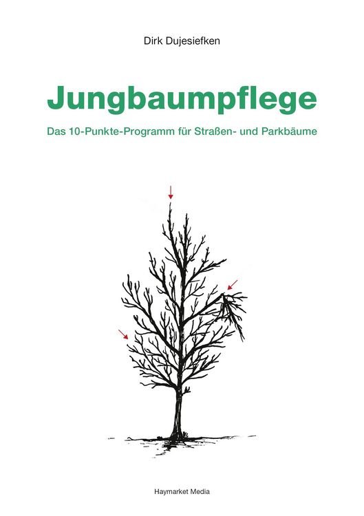 Produktbild: Jungbaumpflege