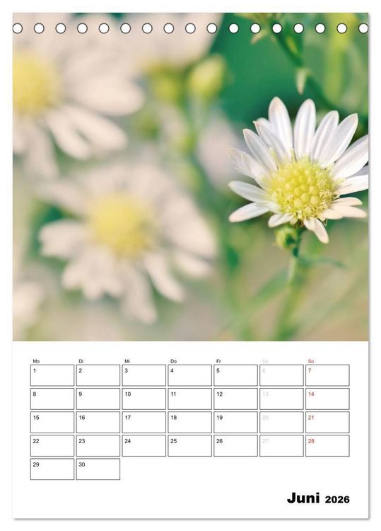 Produktbild: Zauberhafte Bl&uuml;tenwelt / Planer (Tischkalender 2026 DIN A5 hoch), CALVENDO Monatskalender