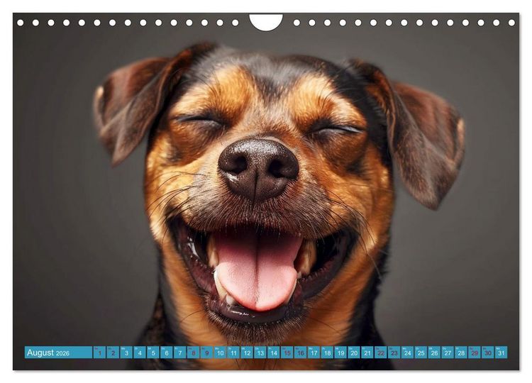 Produktbild: L&auml;chelnde Hunde sind wie Sonnenschein auf vier Pfoten (Wandkalender 2026 DIN A4 quer), CALVENDO Monatskalender