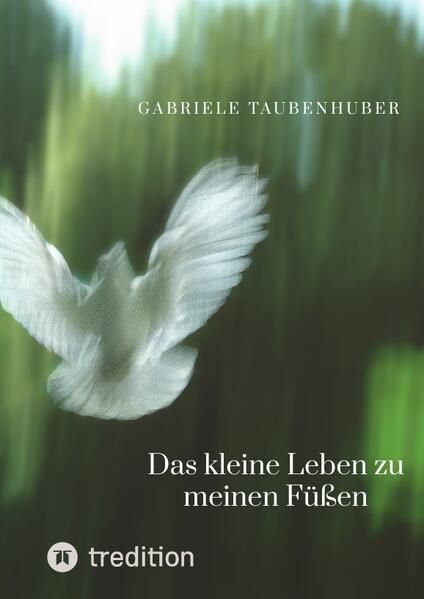 Produktbild: Das kleine Leben zu meinen F&uuml;&szlig;en