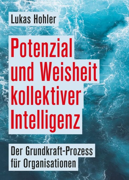 Produktbild: Potenzial und Weisheit kollektiver Intelligenz