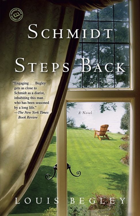 Produktbild: Schmidt Steps Back