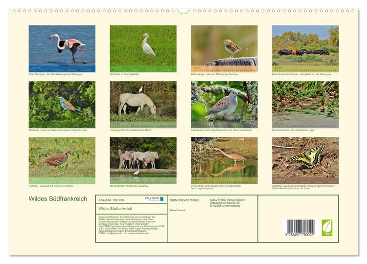 Produktbild: Wildes S&uuml;dfrankreich (hochwertiger Premium Wandkalender 2026 DIN A2 quer), Kunstdruck in Hochglanz