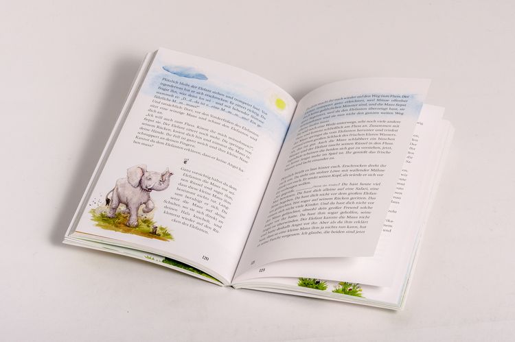 Produktbild: Zauberwald & Zwergenkraft