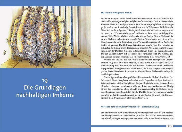 Produktbild: Nachhaltig Imkern mit gesunden Honigbienen