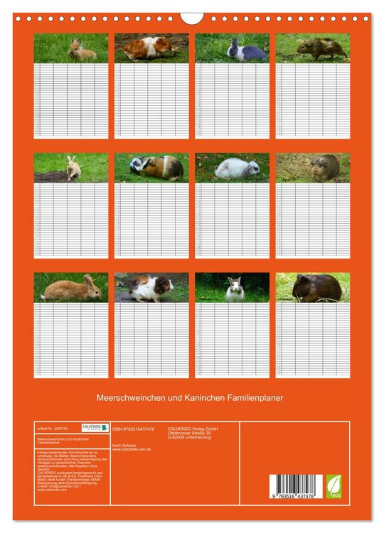 Produktbild: Meerschweinchen und Kaninchen Familienplaner (Wandkalender 2026 DIN A3 hoch), CALVENDO Monatskalender