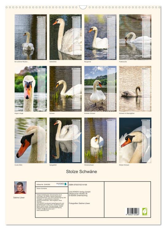 Produktbild: Stolze Schw&auml;ne (Wandkalender 2026 DIN A2 hoch), CALVENDO Monatskalender
