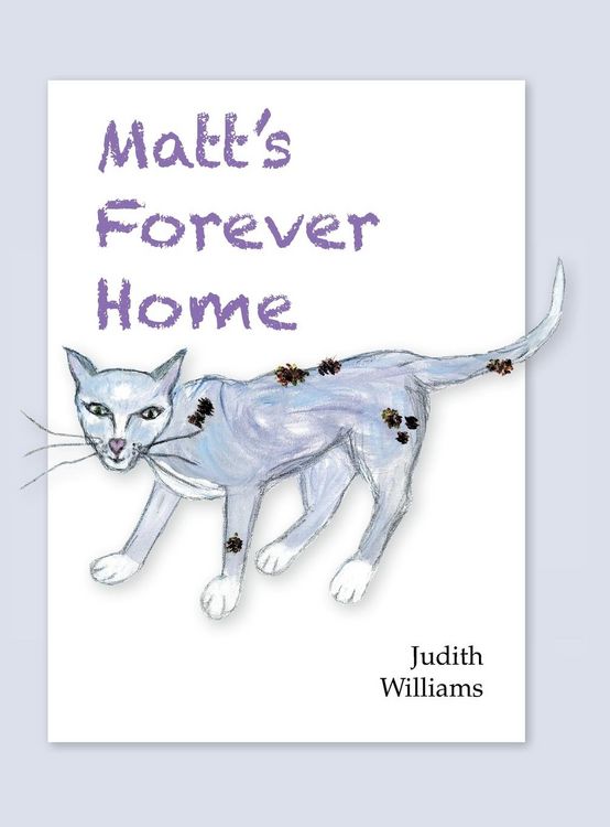 Produktbild: Matt's Forever Home