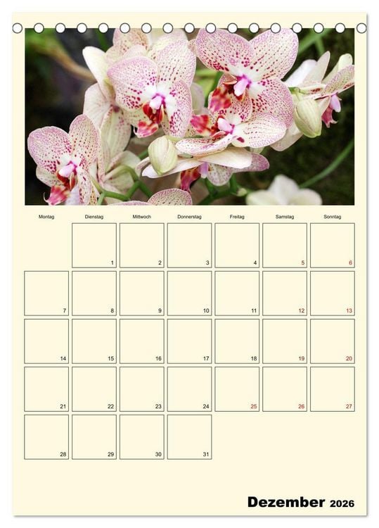 Produktbild: Orchideentr&auml;ume (Tischkalender 2026 DIN A5 hoch), CALVENDO Monatskalender