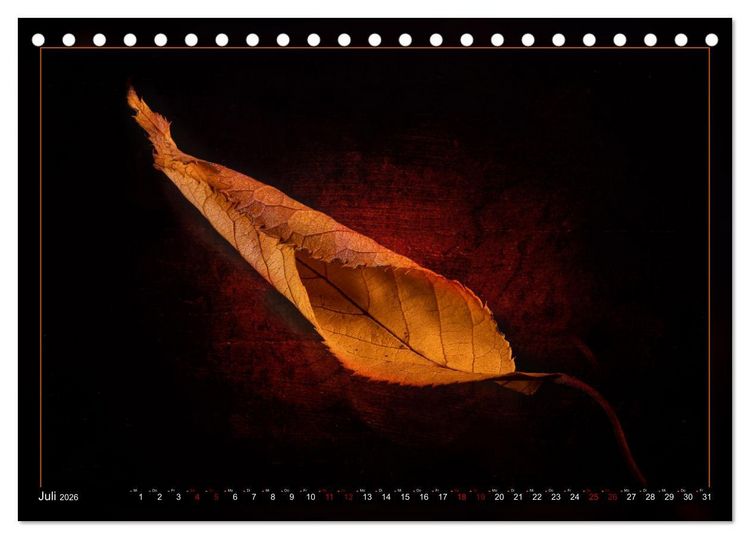 Produktbild: Blattkunstwerke (Tischkalender 2026 DIN A5 quer), CALVENDO Monatskalender