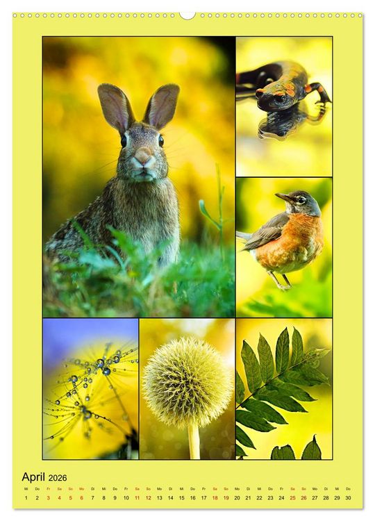 Produktbild: Farbsymphonien der Natur (hochwertiger Premium Wandkalender 2026 DIN A2 hoch), Kunstdruck in Hochglanz
