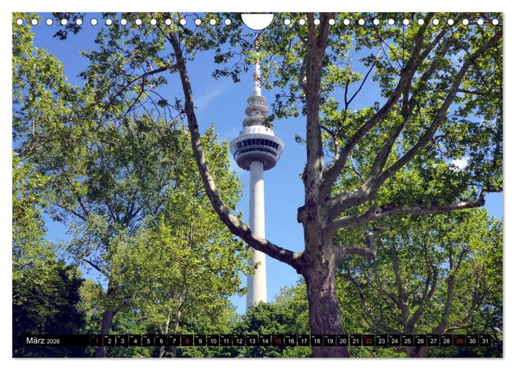 Produktbild: Gr&uuml;nes Mannheim (Wandkalender 2026 DIN A4 quer), CALVENDO Monatskalender