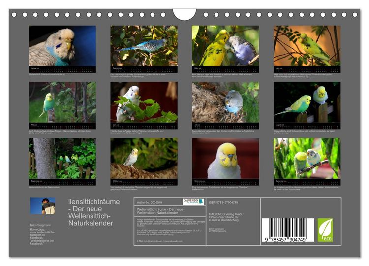 Produktbild: Wellensittichtr&auml;ume - Der neue Wellensittich-Naturkalender (Wandkalender 2026 DIN A4 quer), CALVENDO Monatskalender