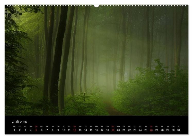Produktbild: Mysterium Wald (Wandkalender 2026 DIN A2 quer), CALVENDO Monatskalender