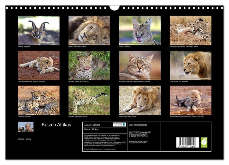 Produktbild: Katzen Afrikas (Wandkalender 2027 DIN A3 quer), CALVENDO Monatskalender