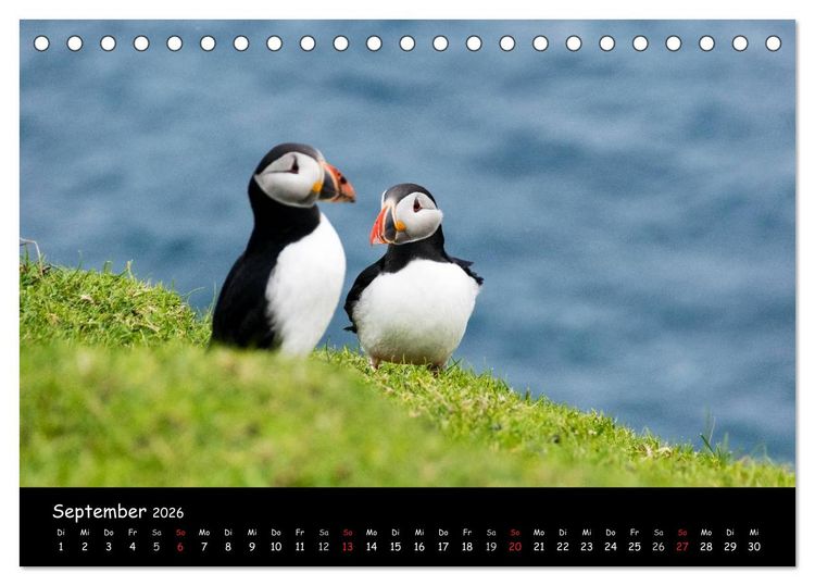 Produktbild: Die Papageientaucher von Mykines (Tischkalender 2026 DIN A5 quer), CALVENDO Monatskalender