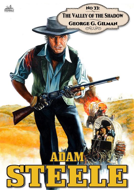 Produktbild: Adam Steele 33: The Valley of the Shadow