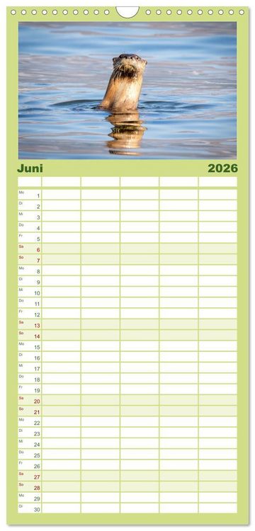 Produktbild: Familienplaner 2026 - Wildtierkalender mit 5 Spalten (Wandkalender, 21 x 45 cm) CALVENDO