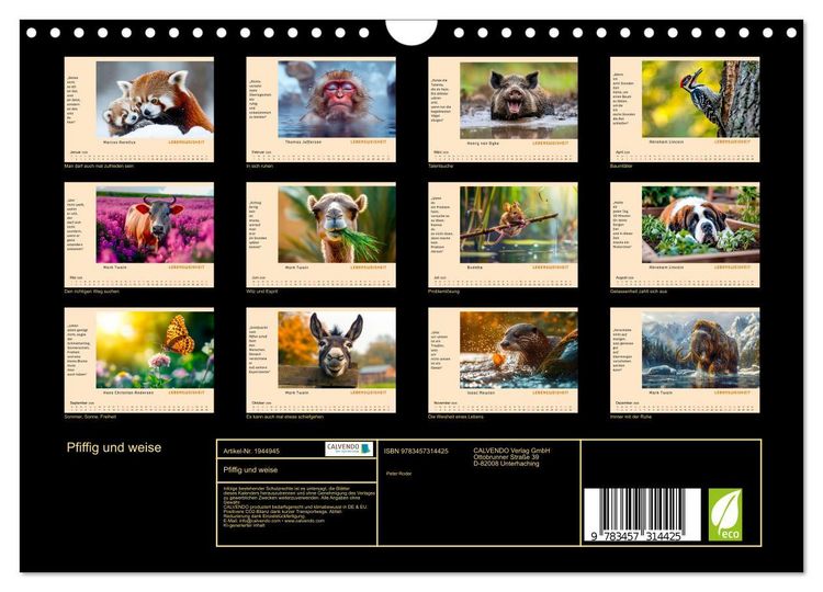 Produktbild: Pfiffig und weise (Wandkalender 2026 DIN A4 quer), CALVENDO Monatskalender
