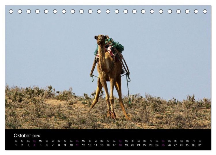 Produktbild: Kamele 2026 - Unterwegs mit zottigen W&uuml;stenschiffen (Tischkalender 2026 DIN A5 quer), CALVENDO Monatskalender