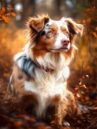 Produktbild: CALVENDO Puzzle Loyal | 1000 Teile Lege-Gr&ouml;&szlig;e 64x48cm Foto-Puzzle f&uuml;r gl&uuml;ckliche Stunden