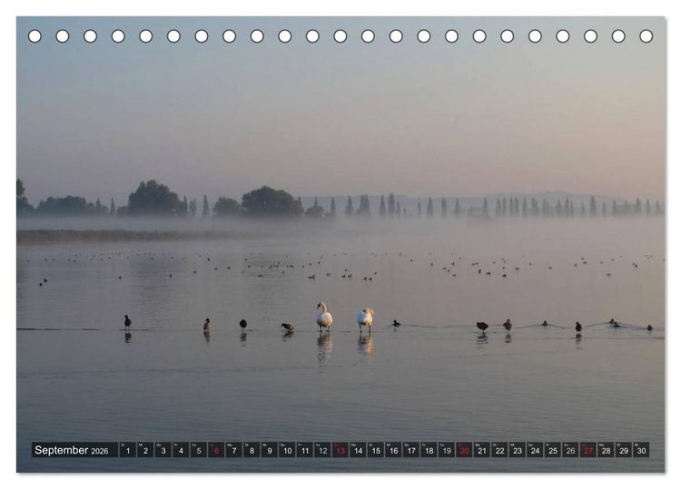 Produktbild: Zauberhafter Bodensee (Tischkalender 2026 DIN A5 quer), CALVENDO Monatskalender